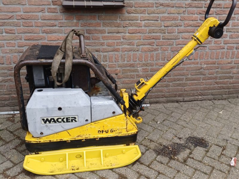 Packer & Walze tipa Wacker Neuson dpu 6055, Gebrauchtmaschine u Mariahout (Slika 1)