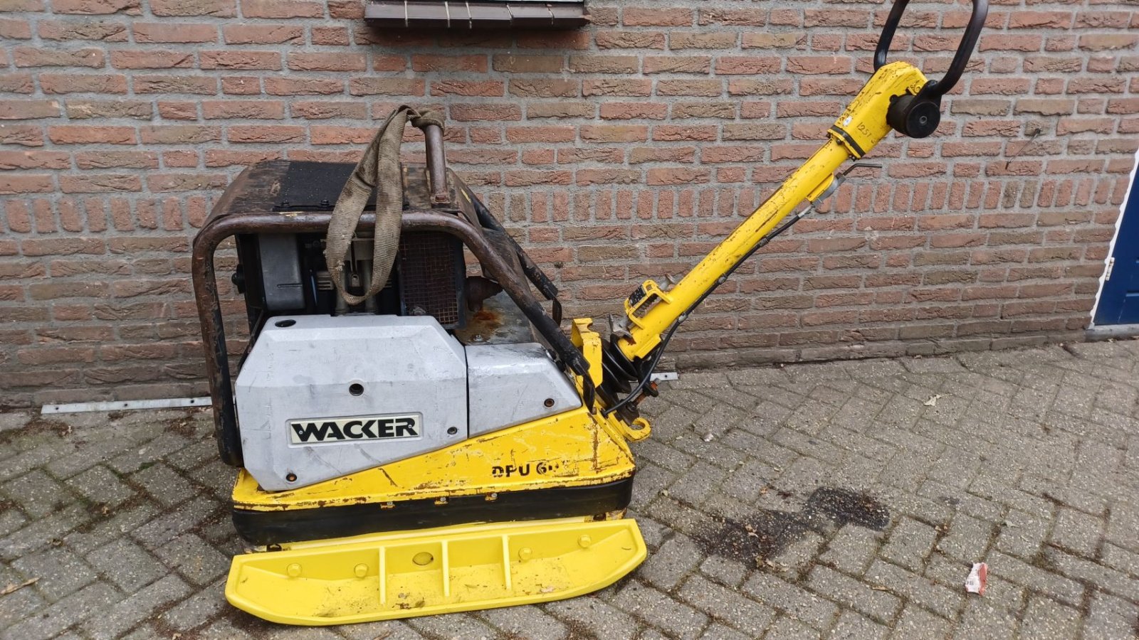 Packer & Walze of the type Wacker Neuson dpu 6055, Gebrauchtmaschine in Mariahout (Picture 1)