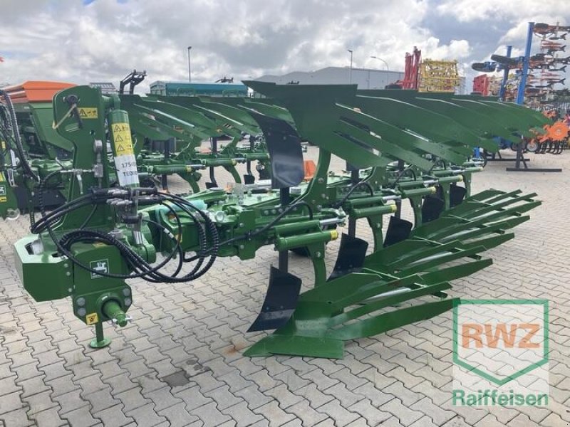 Pflug typu Amazone Teres 300 V 5+0 100 Pf, Neumaschine w Wölfersheim-Berstadt (Zdjęcie 1)