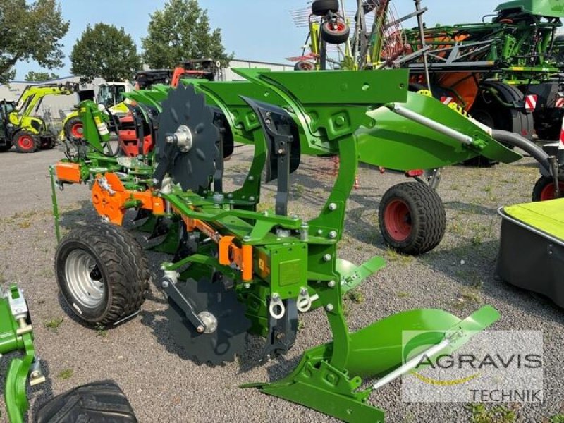 Pflug del tipo Amazone TERES 300 V 5+0 100, Neumaschine In Meppen-Versen (Immagine 4)