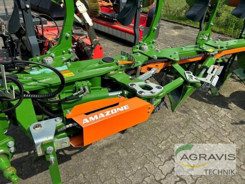 Pflug от тип Amazone TERES 300 V 5+1 100, Neumaschine в Coesfeld (Снимка 4)