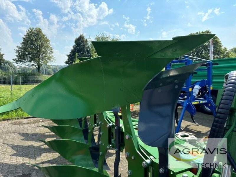 Pflug del tipo Amazone TERES 300 V 5+1 100, Neumaschine In Coesfeld (Immagine 7)