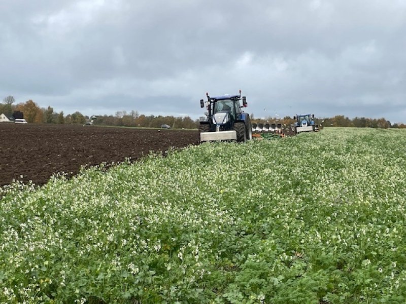 Pflug van het type Amazone Teres 300 VS, Gebrauchtmaschine in Maribo (Foto 5)