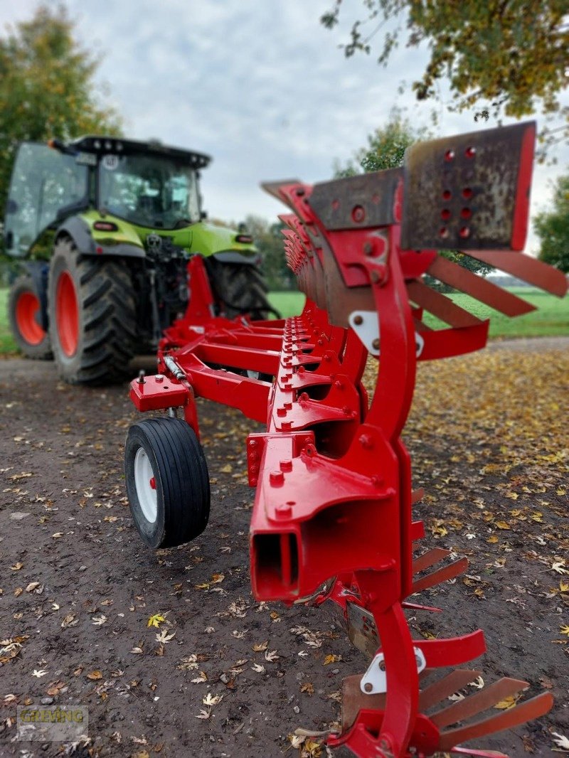 Pflug a típus Einböck Mini - NF - 9+1 -V *Kundenauftrag*, Gebrauchtmaschine ekkor: Heiden (Kép 4)