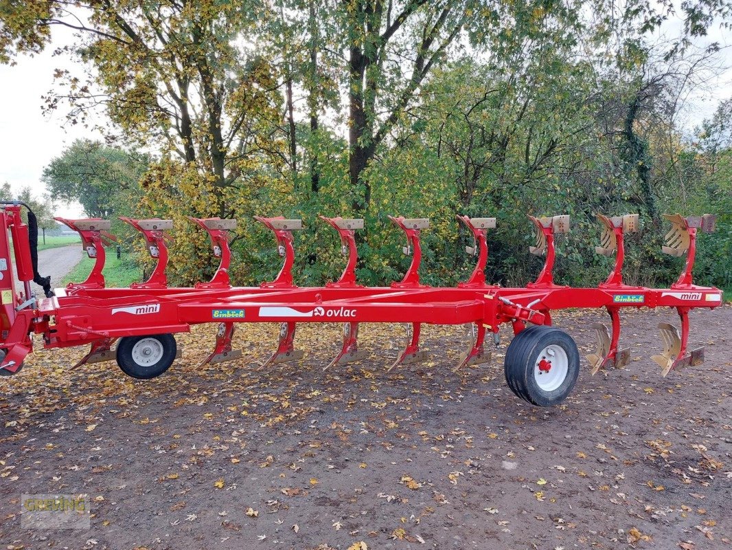 Pflug des Typs Einböck Mini - NF - 9+1 -V *Kundenauftrag*, Gebrauchtmaschine in Heiden (Bild 2)