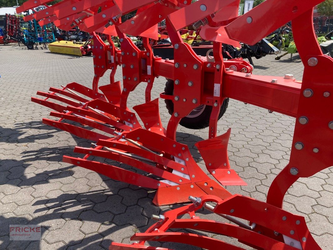 Pflug del tipo Maschio Unico L Passo 5+, Neumaschine In Bockel - Gyhum (Immagine 7)