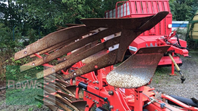 Pflug des Typs Maschio UNICO L VARIO 5+ NSH, Vorführmaschine in Mindelheim (Bild 16)