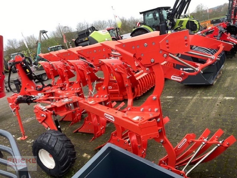 Pflug van het type Maschio Unico M Passo 4+, Neumaschine in Bockel - Gyhum (Foto 12)