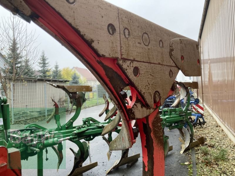 Pflug des Typs Maschio UNICO M PASSO 4+ STREIFENKÖRPE, Gebrauchtmaschine in Obertraubling (Bild 5)