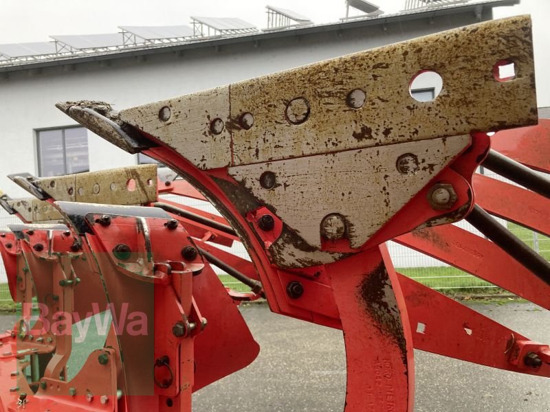 Pflug des Typs Maschio UNICO M PASSO 4+ STREIFENKÖRPE, Gebrauchtmaschine in Obertraubling (Bild 4)