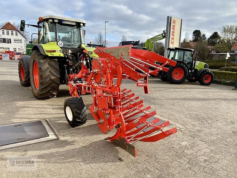 Pflug del tipo Maschio UNICO M VARIO 4+, Gebrauchtmaschine In Asendorf (Immagine 4)