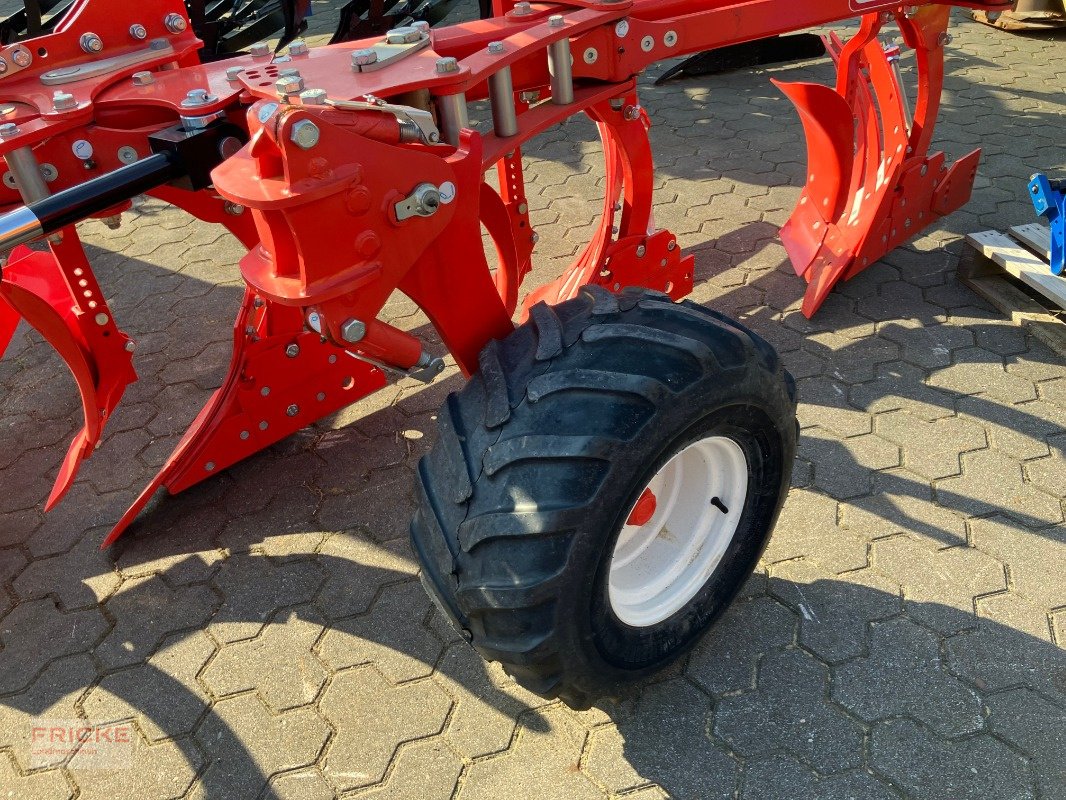 Pflug del tipo Maschio Unico M Vario 4+, Neumaschine en Bockel - Gyhum (Imagen 14)