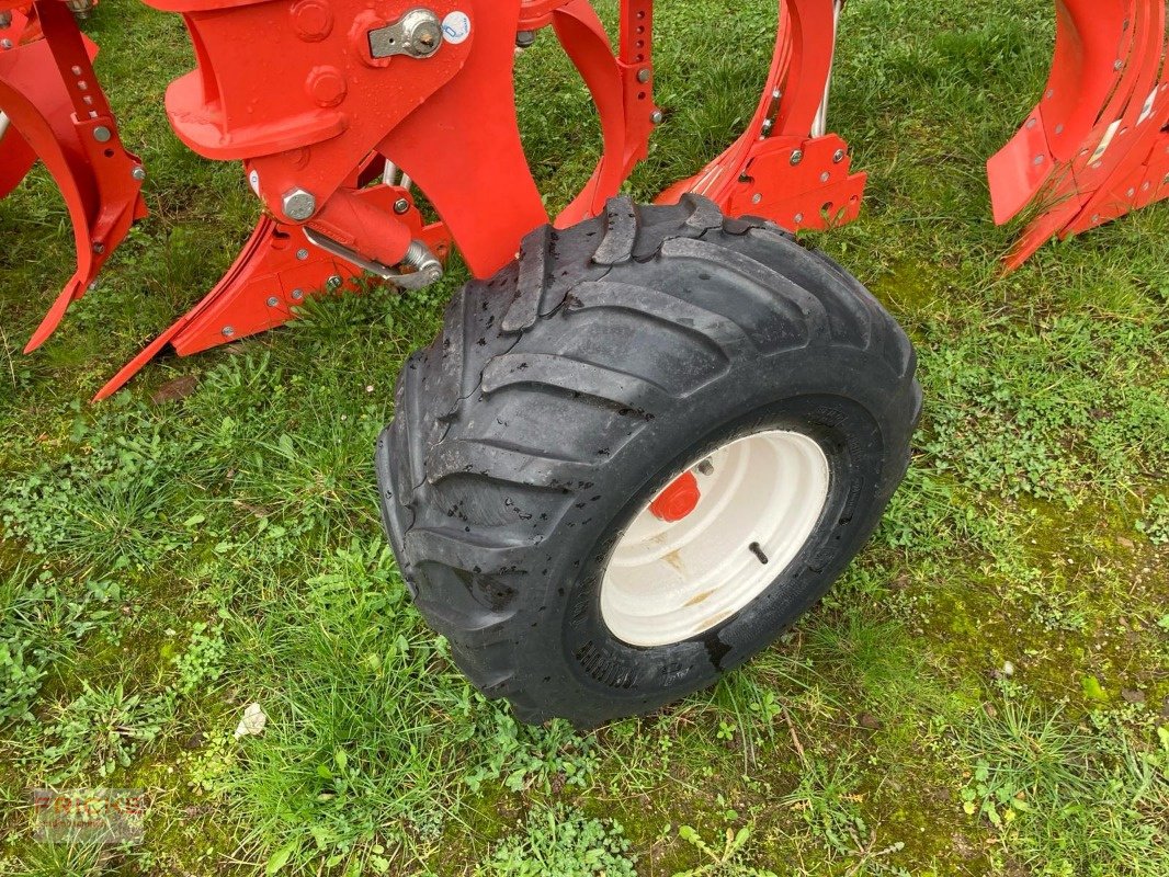 Pflug Türe ait Maschio Unico M Vario 4+, Neumaschine içinde Bockel - Gyhum (resim 10)