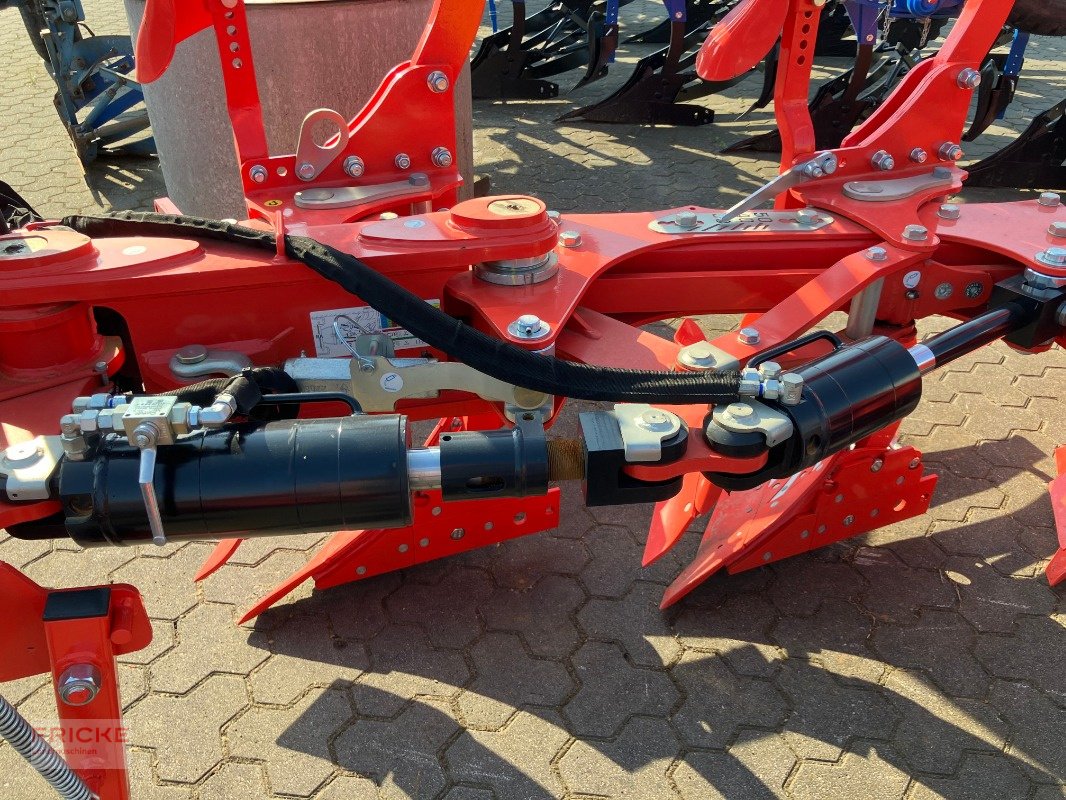 Pflug tip Maschio Unico M Vario 4+, Neumaschine in Bockel - Gyhum (Poză 13)