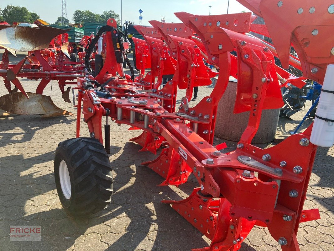 Pflug del tipo Maschio Unico M Vario 4+, Neumaschine en Bockel - Gyhum (Imagen 16)