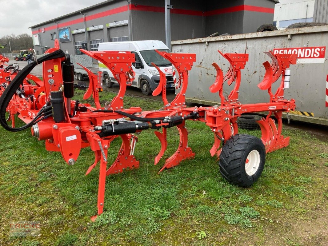 Pflug des Typs Maschio Unico M Vario 4+, Neumaschine in Bockel - Gyhum (Bild 3)