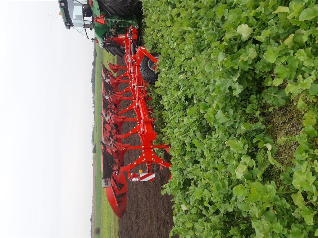 Pflug van het type Opall-Agri Apollo 140/100 V Nyhed i Danmark, Gebrauchtmaschine in Tønder (Foto 2)