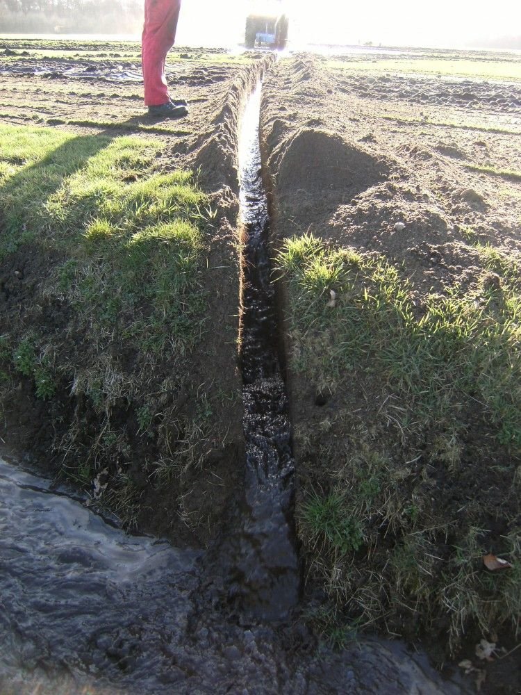 Pflug des Typs Sonstige Zibo SF0301 sleuvenfrees Nieuw 3X, Neumaschine in Vriezenveen (Bild 10)