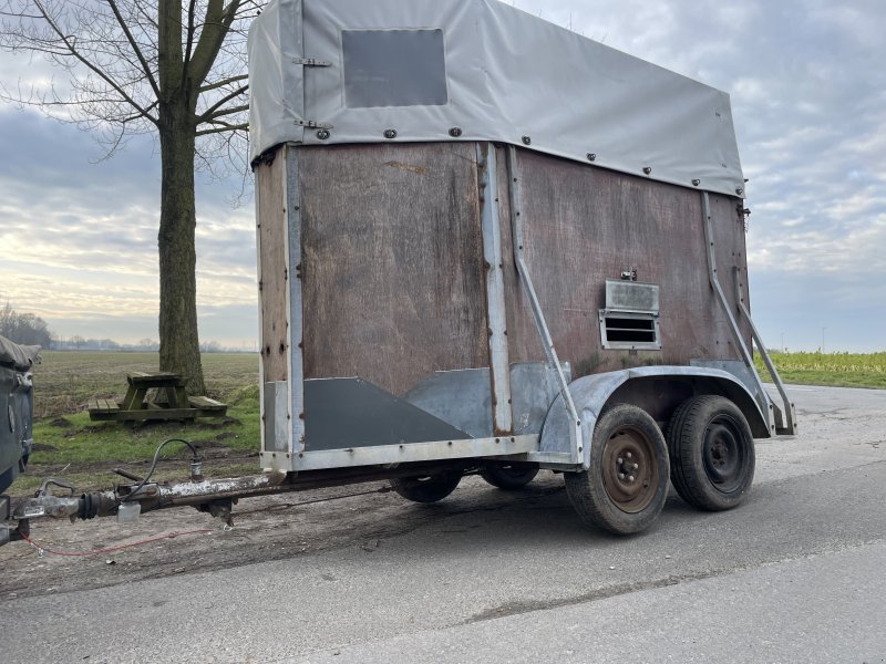 PKW-Anhänger Türe ait Blomert Viehtransporter, Gebrauchtmaschine içinde Lippstadt (resim 1)