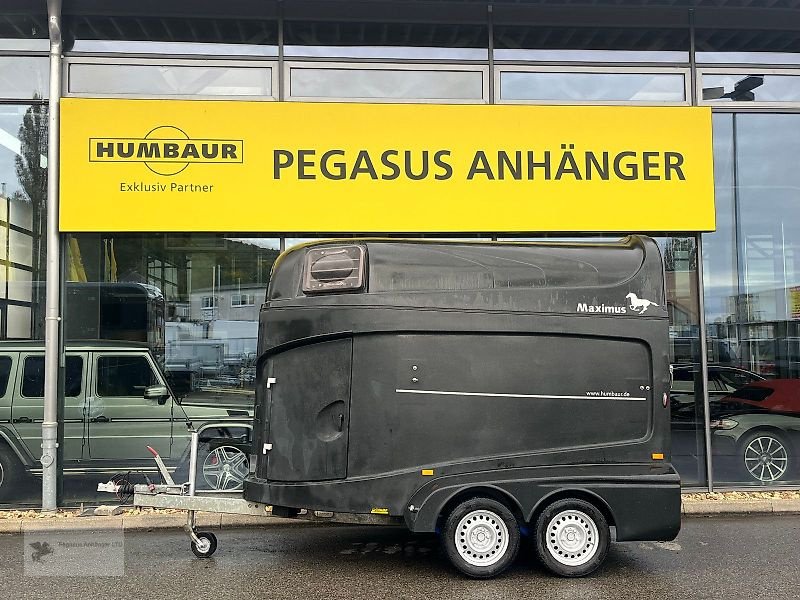 PKW-Anhänger van het type Humbaur Humbaur Maximus 2 Pferdeanhänger Vollpoly, Gebrauchtmaschine in Gevelsberg (Foto 3)