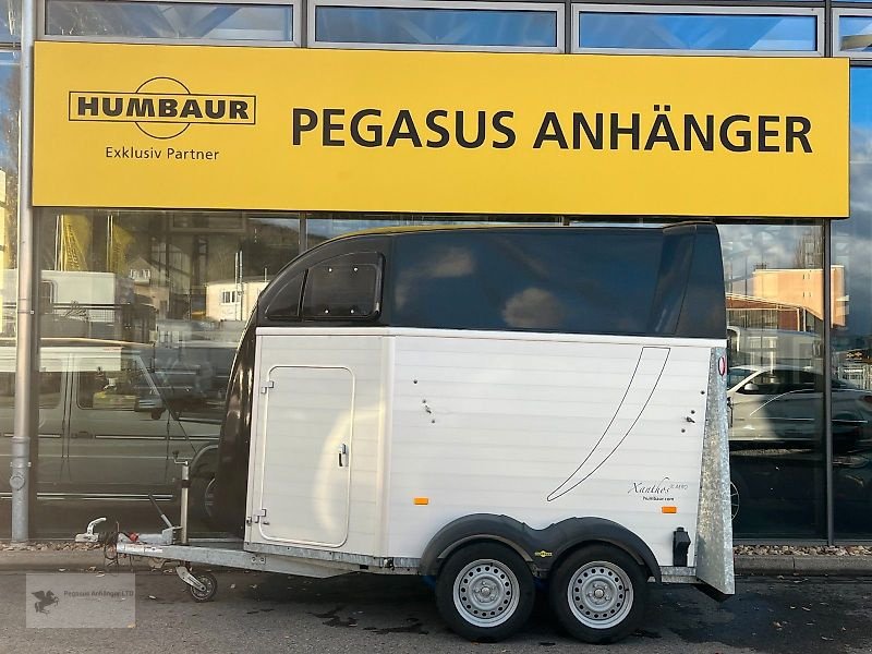 PKW-Anhänger типа Humbaur Xanthos Aero  2-Pferde 2,4t. ALU  SK  100Km/h, Gebrauchtmaschine в Gevelsberg (Фотография 4)