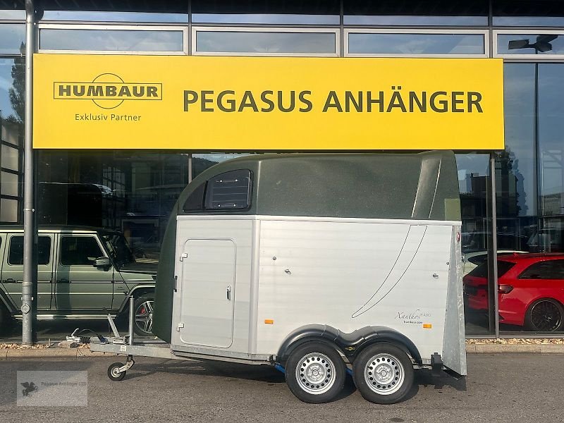 PKW-Anhänger a típus Humbaur Xanthos Aero 2-Pferdeanhänger ALU SK 2,4t, Gebrauchtmaschine ekkor: Gevelsberg (Kép 3)