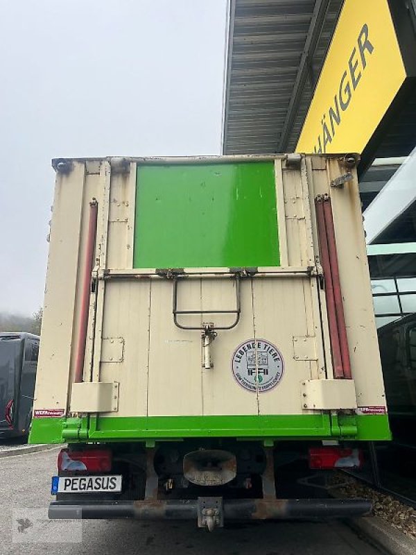 PKW-Anhänger des Typs MAN TGL 8 220 Viehtransporter LKW Vollalukoffer, Gebrauchtmaschine in Gevelsberg (Bild 4)