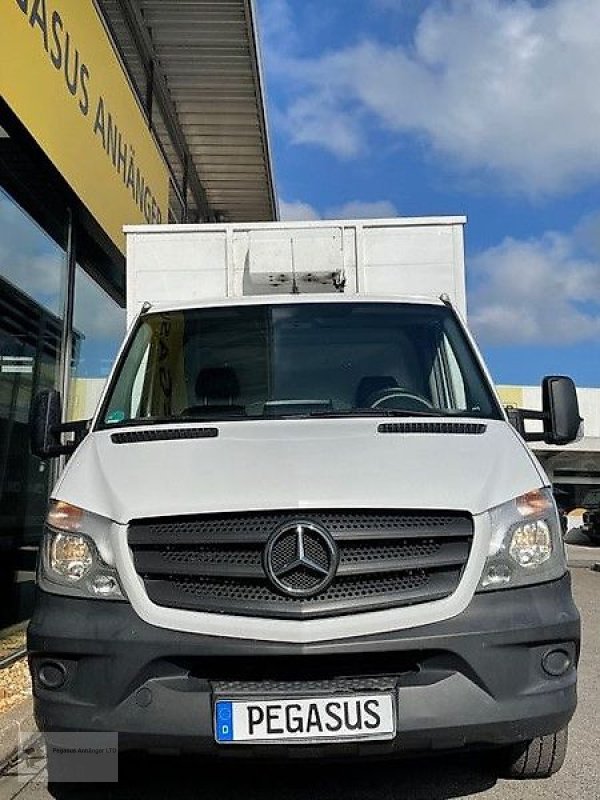 PKW-Anhänger Türe ait Mercedes-Benz Sprinter516cdi Notschlachtung   Viehtransporter, Gebrauchtmaschine içinde Gevelsberg (resim 2)