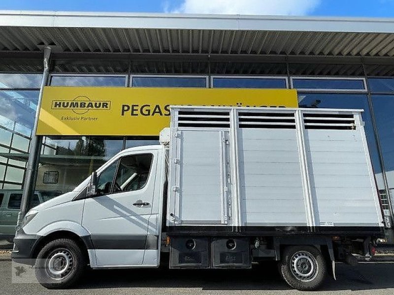 PKW-Anhänger Türe ait Mercedes-Benz Sprinter516cdi Notschlachtung   Viehtransporter, Gebrauchtmaschine içinde Gevelsberg (resim 3)