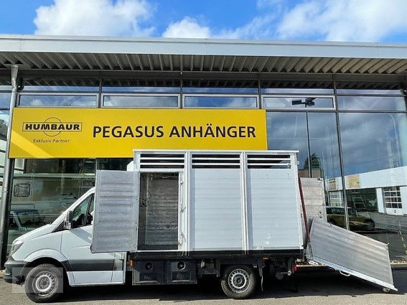 PKW-Anhänger Türe ait Mercedes-Benz Sprinter516cdi Notschlachtung   Viehtransporter, Gebrauchtmaschine içinde Gevelsberg (resim 8)