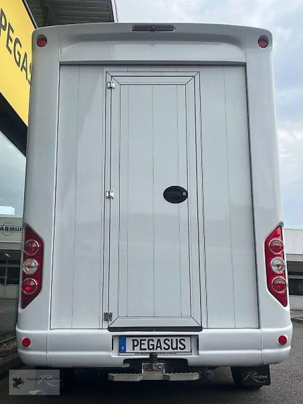 PKW-Anhänger tipa Renault Roelofsen Parados Sport 2 Pferdetransporter 3,5t, Gebrauchtmaschine u Gevelsberg (Slika 7)