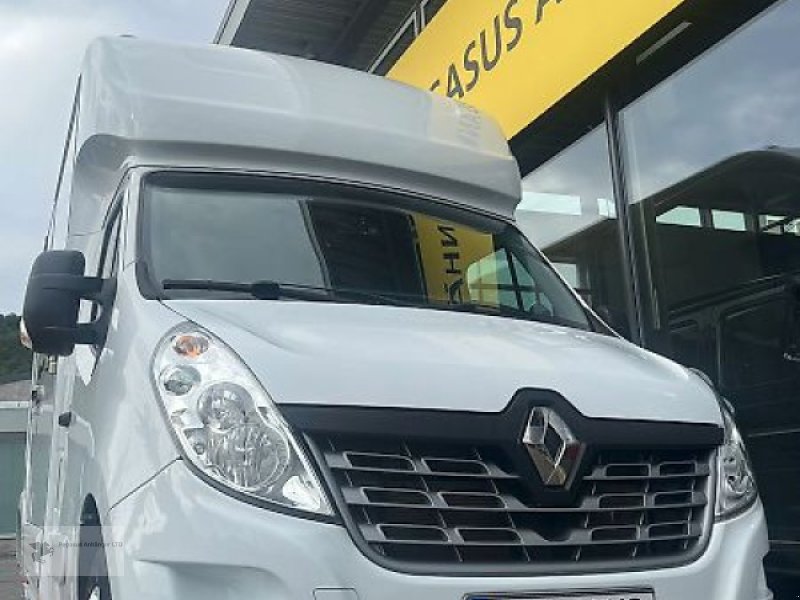 PKW-Anhänger a típus Renault Roelofsen Parados Sport 2 Pferdetransporter 3,5t, Gebrauchtmaschine ekkor: Gevelsberg (Kép 1)