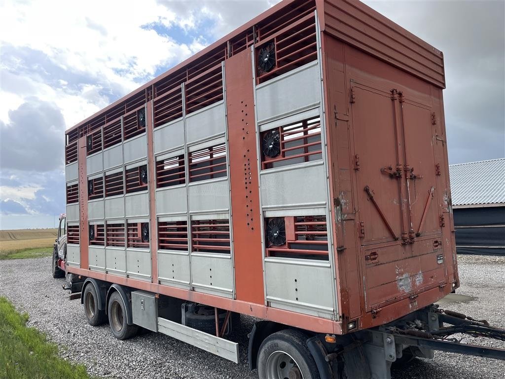 PKW-Anhänger del tipo Sonstige 3 AKSLET ANHÆNGER. Grisetransport 3 dæk, Gebrauchtmaschine en Grenaa (Imagen 3)