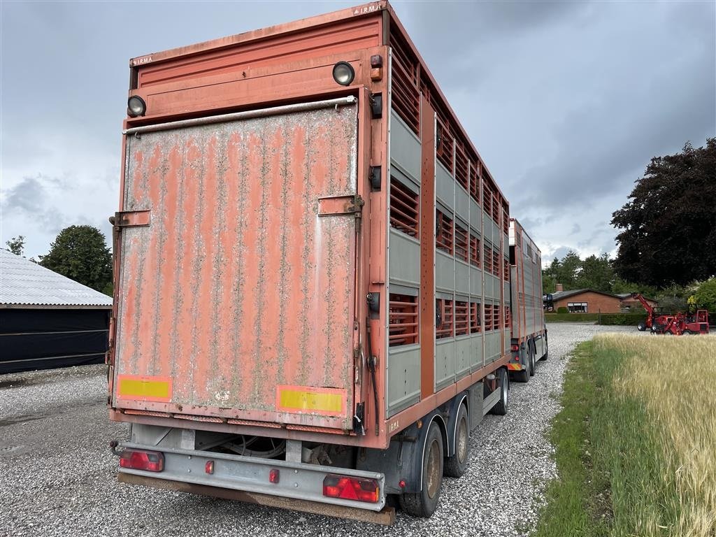 PKW-Anhänger tipa Sonstige 3 AKSLET ANHÆNGER. Grisetransport 3 dæk, Gebrauchtmaschine u Grenaa (Slika 2)