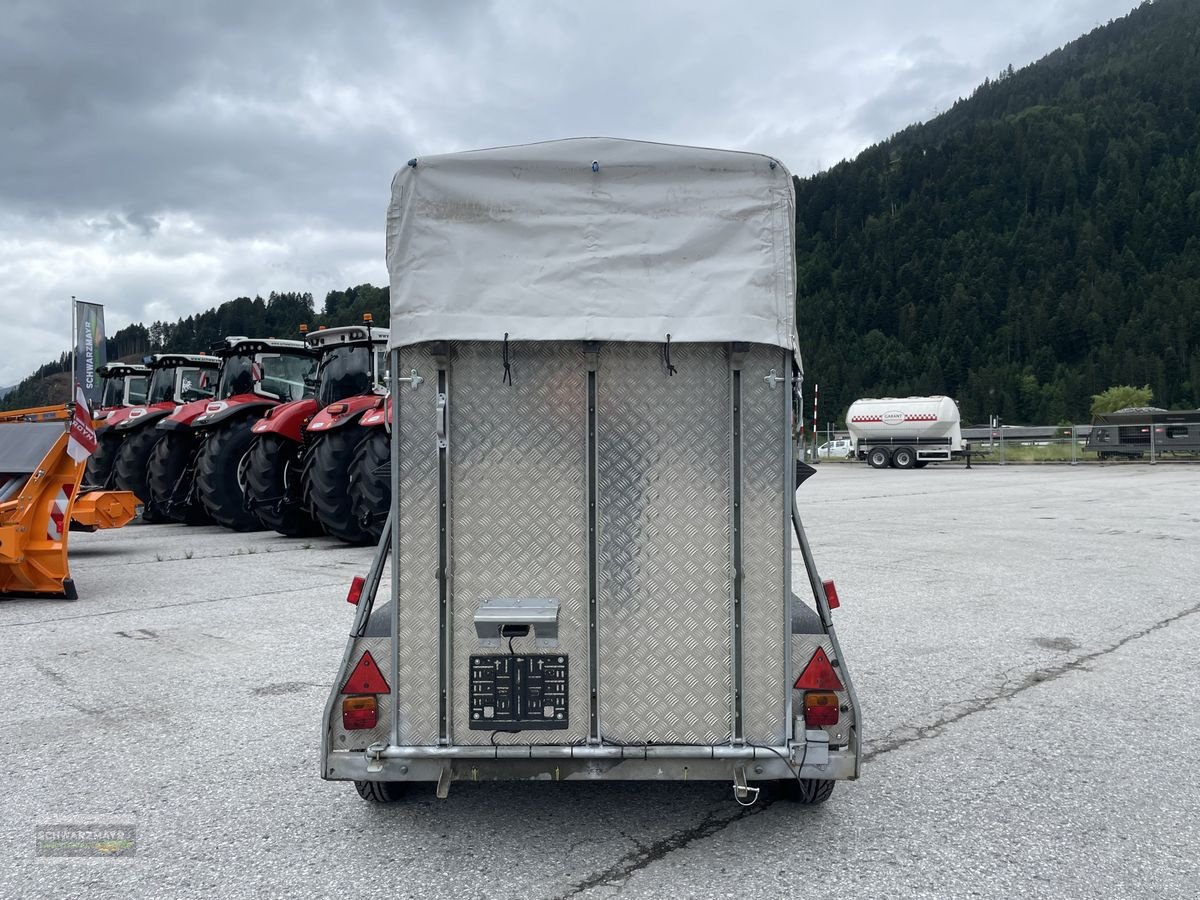 PKW-Anhänger des Typs Sonstige FB Fahrzeugbau P2.0, Gebrauchtmaschine in Gampern (Bild 7)