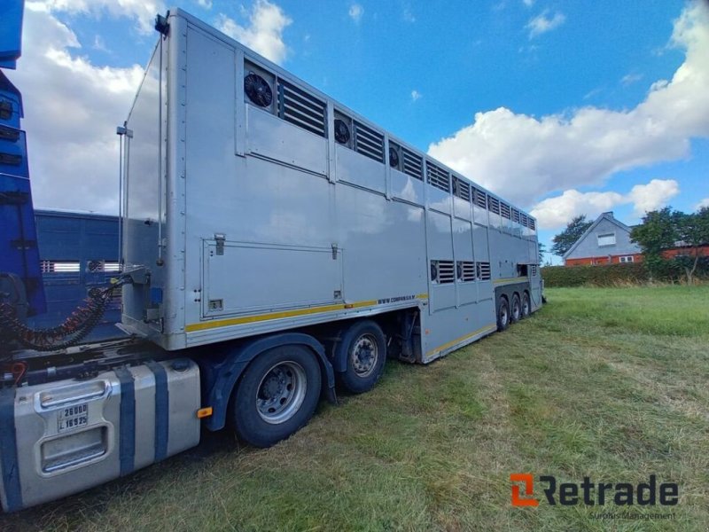 PKW-Anhänger типа Sonstige Gray Adams Trailer for kvægtransport, Gebrauchtmaschine в Rødovre (Фотография 1)