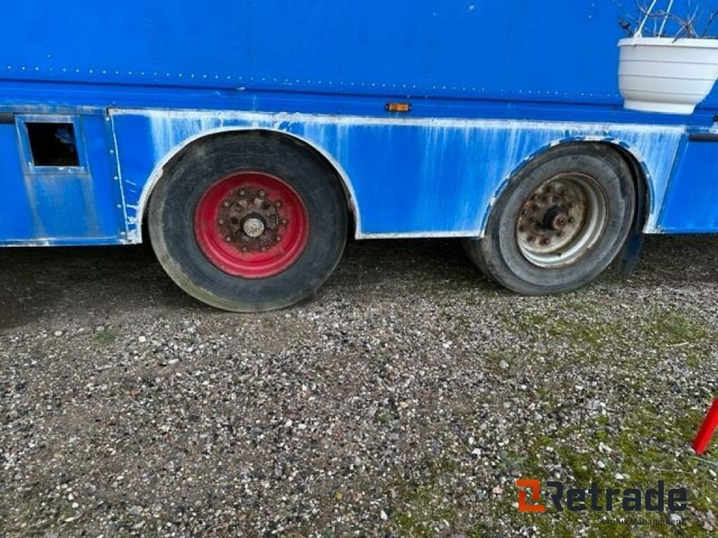 PKW-Anhänger des Typs Sonstige Sættevogn/ Hestetrailer, Gebrauchtmaschine in Rødovre (Bild 5)