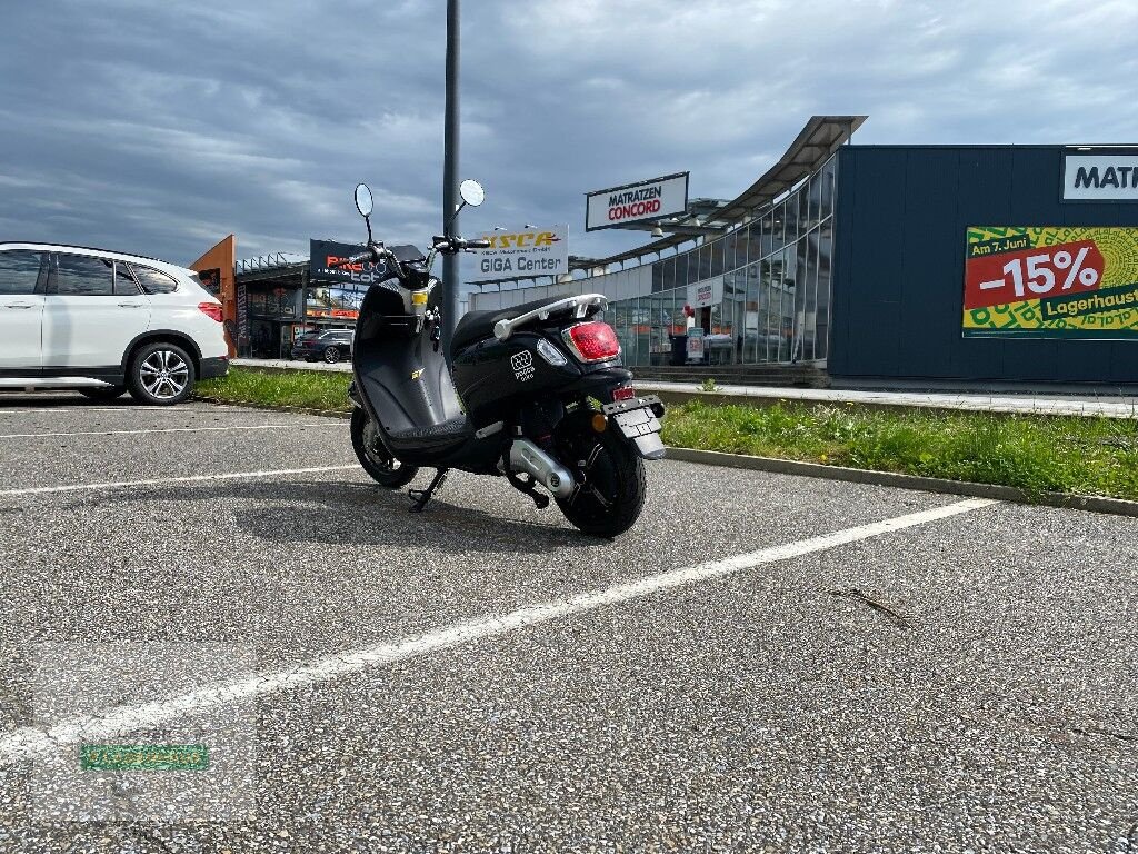 PKW/LKW van het type Sonstige Pocca, Neumaschine in Hartberg (Foto 4)