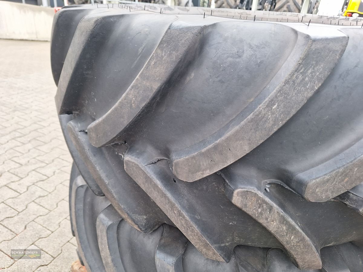 Rad del tipo Firestone 480/65R24+600/65R34 zu Steyr Multi, Vorführmaschine In Aurolzmünster (Immagine 6)