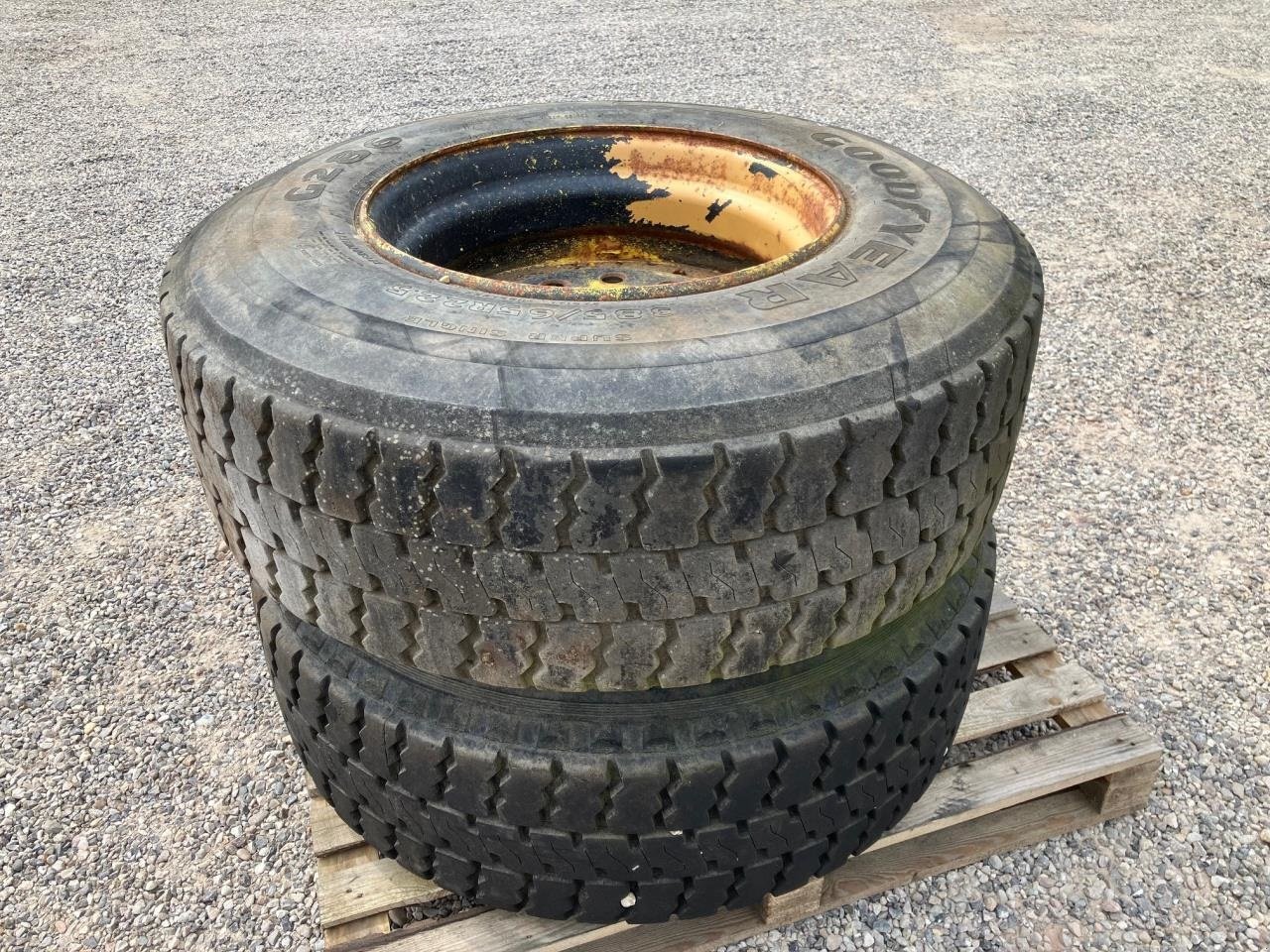 Rad a típus GoodYear 385/65 R22.5, Gebrauchtmaschine ekkor: Tim (Kép 1)