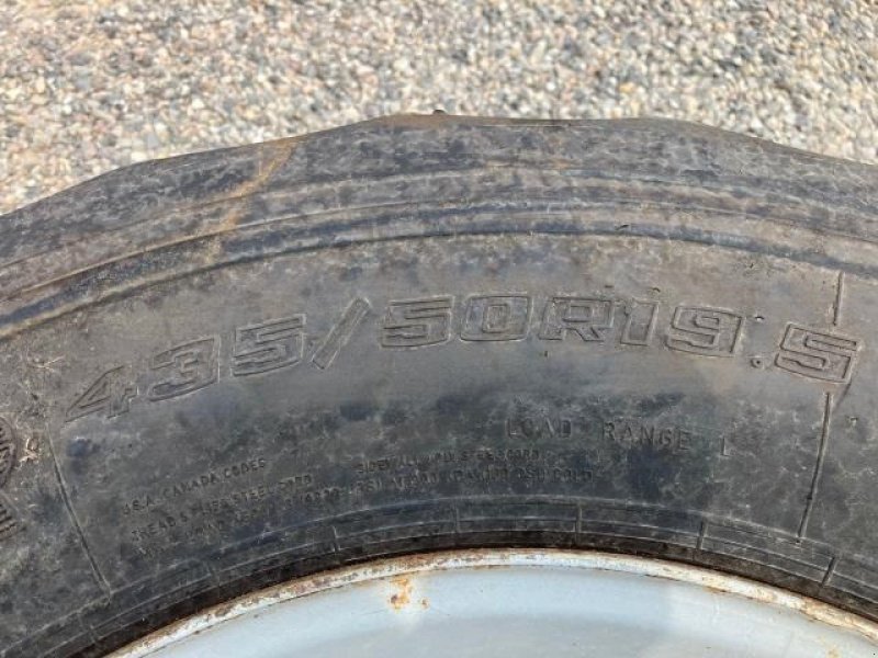 Rad del tipo GoodYear 435/50R19.5, Gebrauchtmaschine en Tim (Imagen 2)