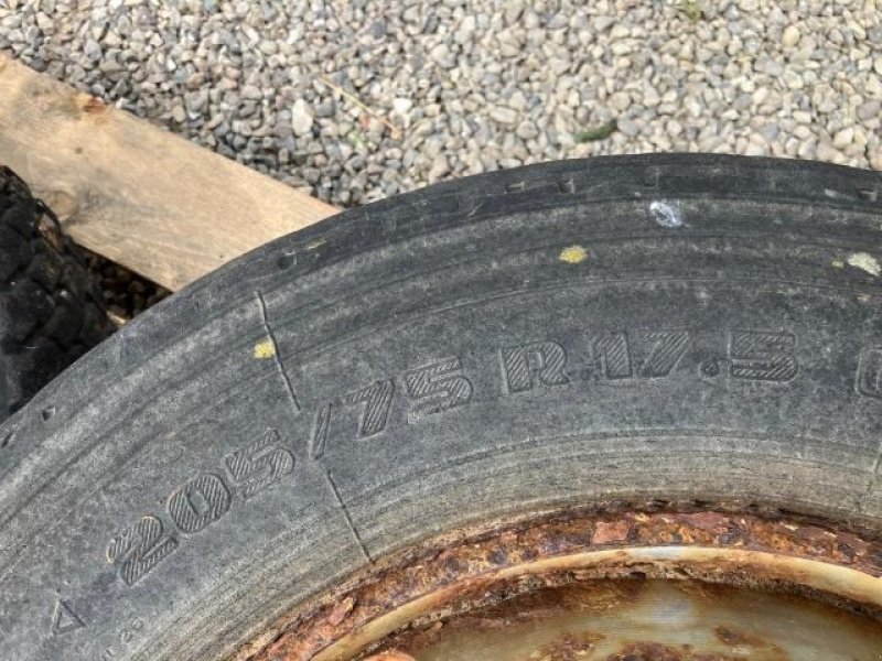 Rad typu Michelin 205/75 R17.5, Gebrauchtmaschine w Tim (Zdjęcie 2)