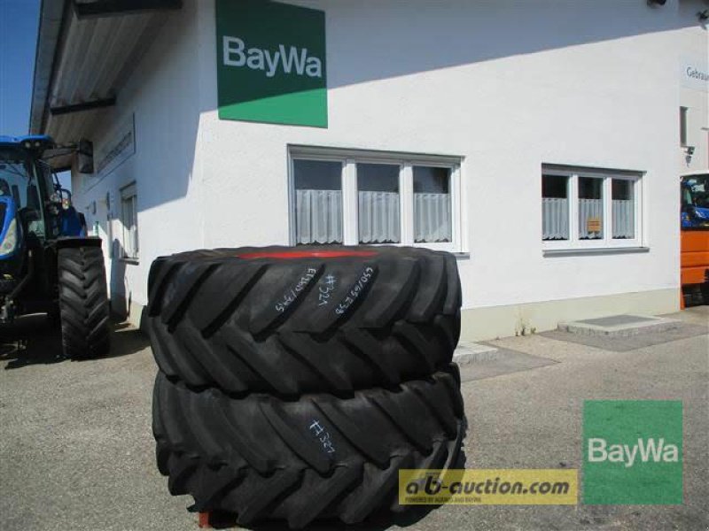 Rad tip Michelin 540/65R28,  650/65R38 #321, Gebrauchtmaschine in Schönau (Poză 16)