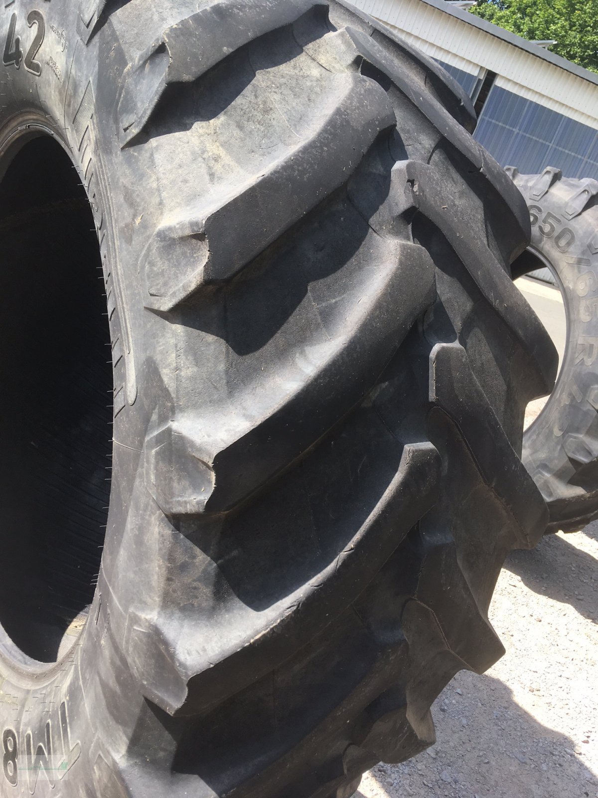 Rad του τύπου Trelleborg TM 800 650/65 R42, Gebrauchtmaschine σε Marsberg (Φωτογραφία 1)