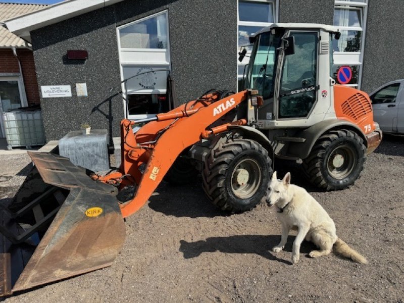 Radlader tipa Atlas AR 75 LANG ARM, CENTRALSMØRING, SKOVL, GAFLER, Gebrauchtmaschine u Dronninglund