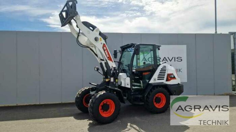 Radlader tipa Bobcat L 75, Gebrauchtmaschine u Melle-Wellingholzhausen (Slika 1)