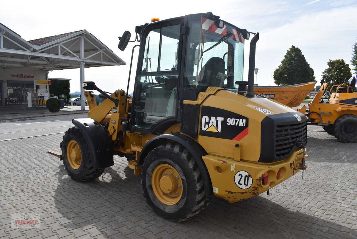 Radlader du type Caterpillar 907, Gebrauchtmaschine en Putzleinsdorf (Photo 3)