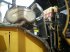 Radlader tipa Caterpillar 950M, Gebrauchtmaschine u Barneveld (Slika 5)