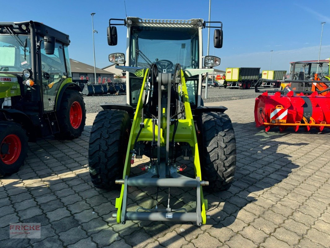 Radlader des Typs CLAAS Torion 530, Neumaschine in Bockel - Gyhum (Bild 2)