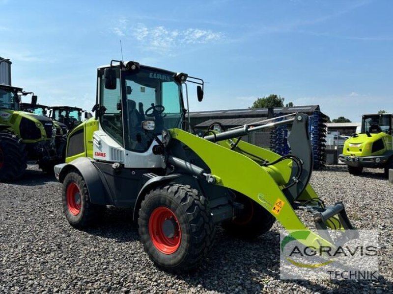 Radlader of the type CLAAS TORION 644 SINUS, Vorführmaschine in Coesfeld (Picture 2)